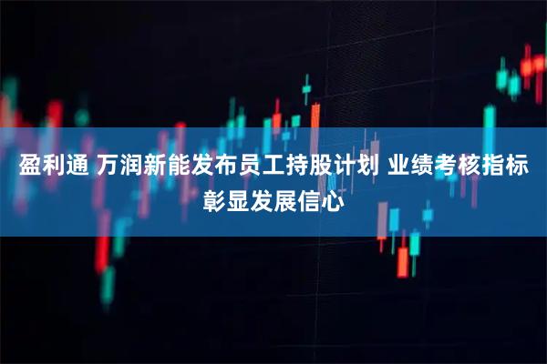 盈利通 万润新能发布员工持股计划 业绩考核指标彰显发展信心