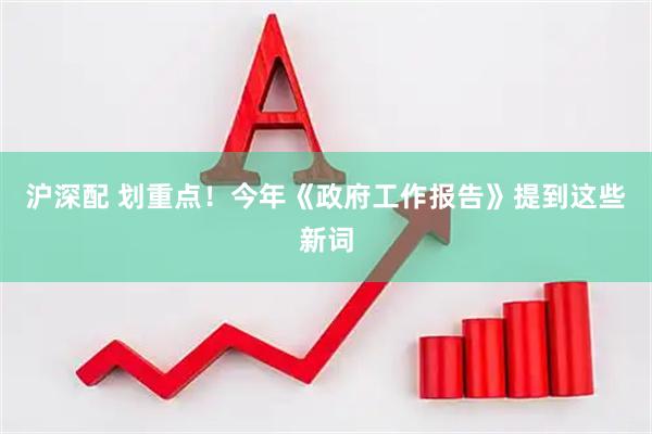 沪深配 划重点！今年《政府工作报告》提到这些新词