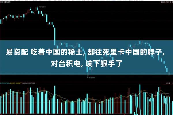 易资配 吃着中国的稀土, 却往死里卡中国的脖子, 对台积电, 该下狠手了