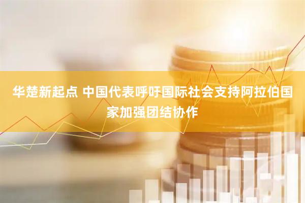 华楚新起点 中国代表呼吁国际社会支持阿拉伯国家加强团结协作