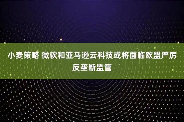 小麦策略 微软和亚马逊云科技或将面临欧盟严厉反垄断监管