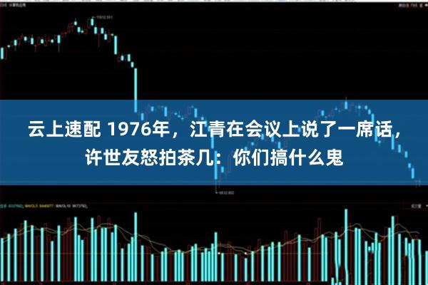 云上速配 1976年，江青在会议上说了一席话，许世友怒拍茶几：你们搞什么鬼