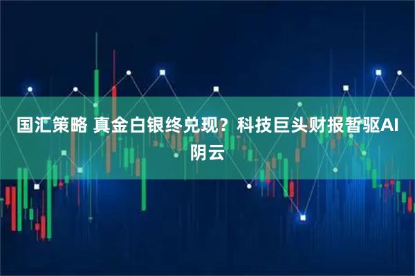 国汇策略 真金白银终兑现？科技巨头财报暂驱AI阴云