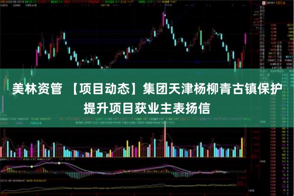 美林资管 【项目动态】集团天津杨柳青古镇保护提升项目获业主表扬信