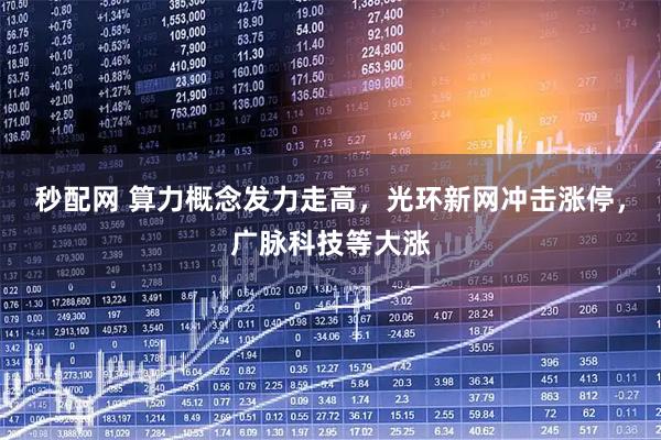 秒配网 算力概念发力走高，光环新网冲击涨停，广脉科技等大涨