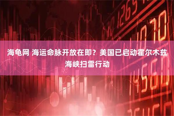 海龟网 海运命脉开放在即？美国已启动霍尔木兹海峡扫雷行动