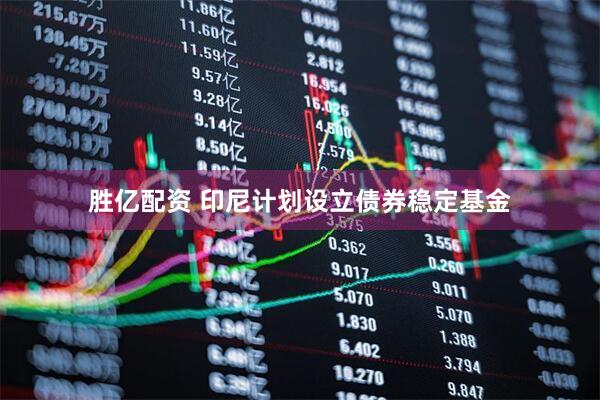 胜亿配资 印尼计划设立债券稳定基金