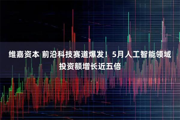 维嘉资本 前沿科技赛道爆发！5月人工智能领域投资额增长近五倍