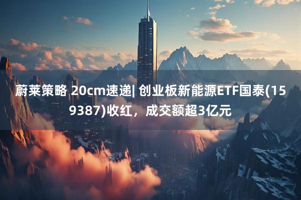 蔚莱策略 20cm速递| 创业板新能源ETF国泰(159387)收红，成交额超3亿元