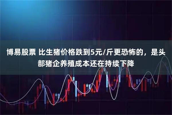 博易股票 比生猪价格跌到5元/斤更恐怖的，是头部猪企养殖成本还在持续下降
