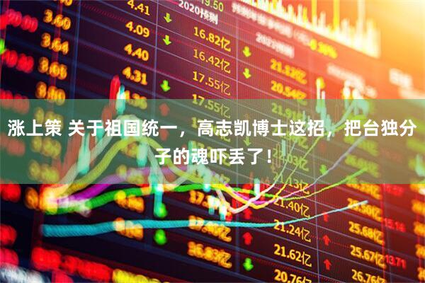 涨上策 关于祖国统一，高志凯博士这招，把台独分子的魂吓丢了！