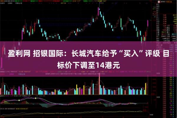 盈利网 招银国际：长城汽车给予“买入”评级 目标价下调至14港元